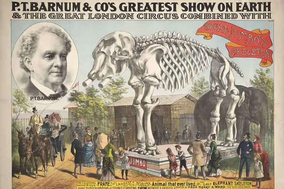 barnum circo