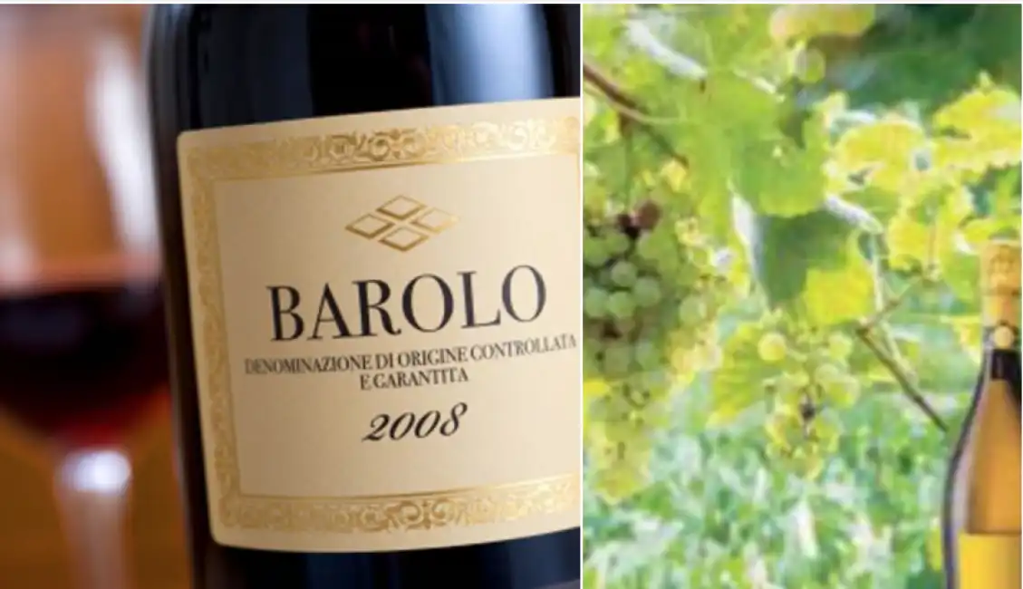 barolo prosecco