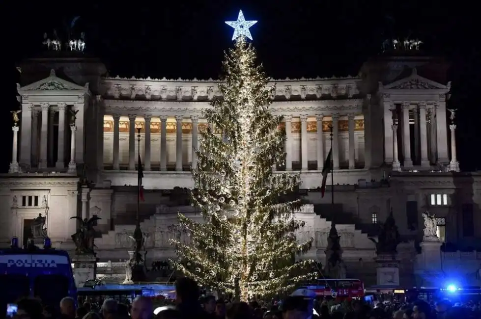 piazza venezia albero 19