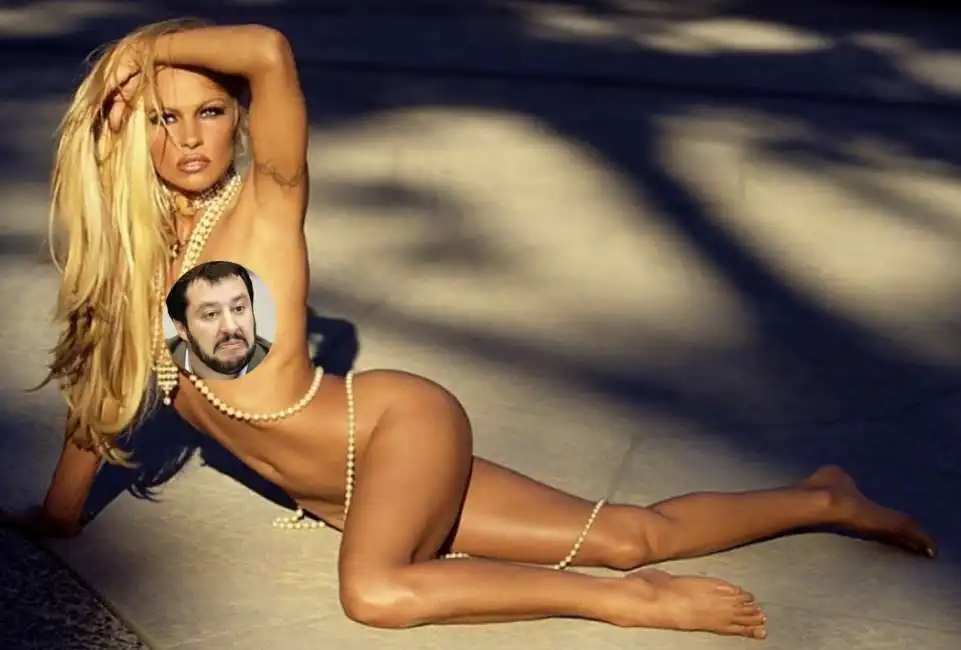 pamela anderson salvini