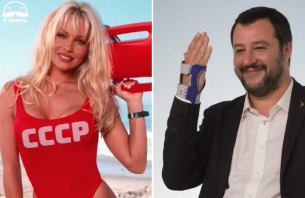 pamela anderson salvini