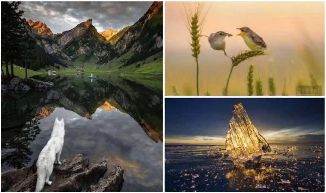 travel photographer of the year