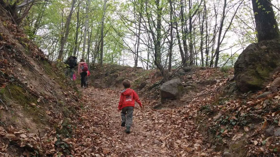 mamma e figli scomparsi in un bosco a nerola-3