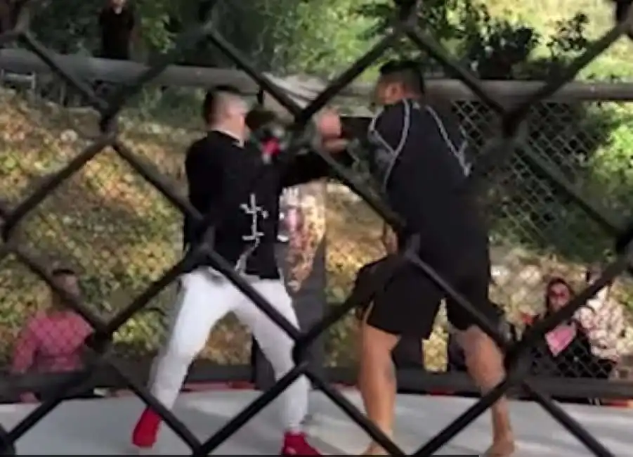 la sfida tra un maestro di tai chi e un atleta di mma 