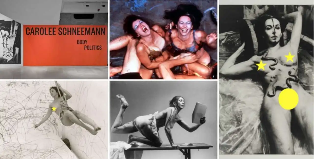 carolee schneemann: body politics