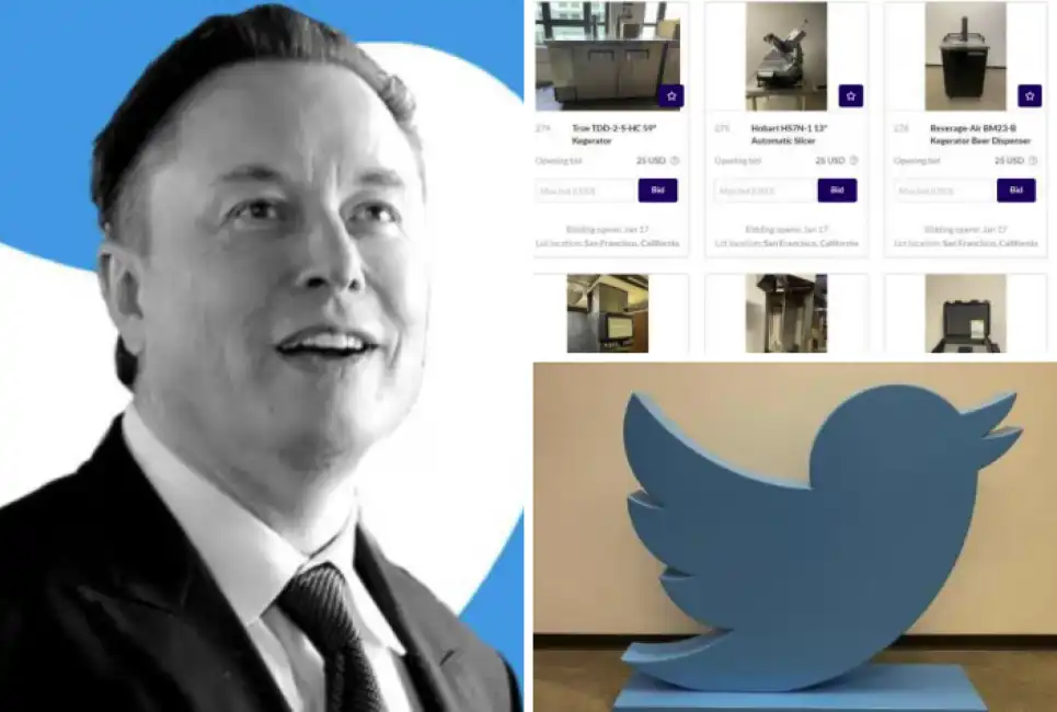 elon musk twitter