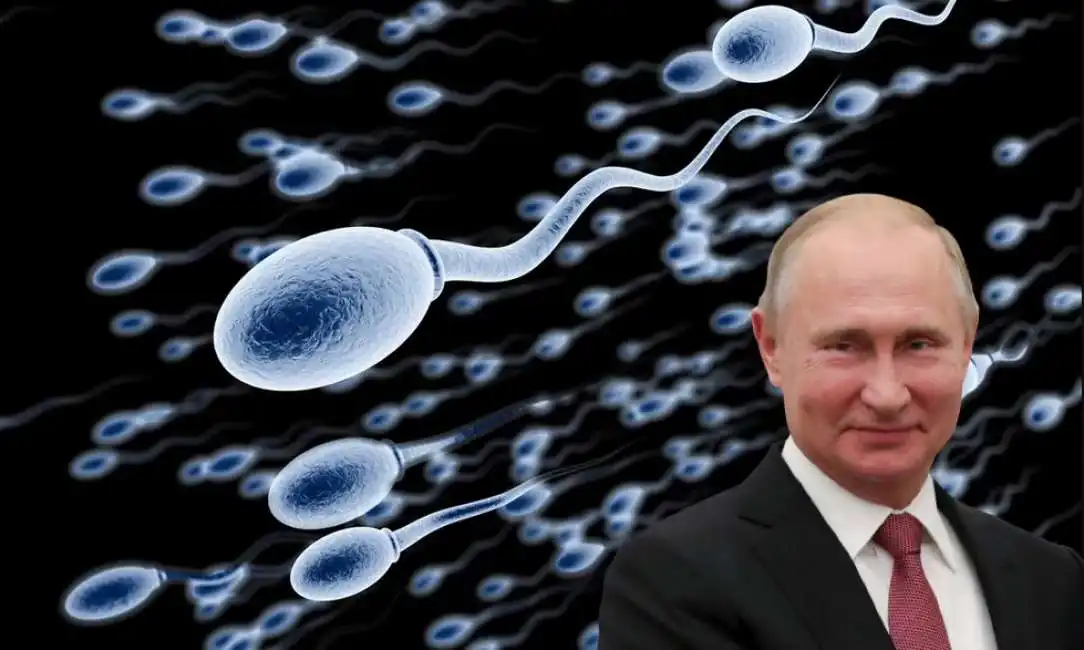 vladimir putin spermatozoi sperma