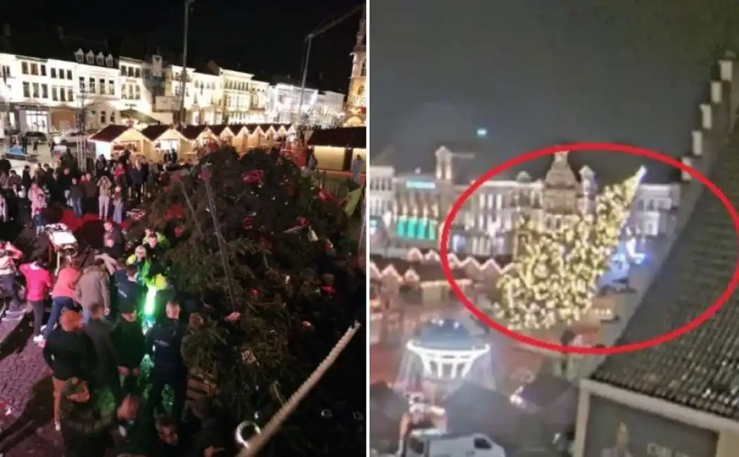 abete albero crollato in un mercatino di natale in belgio 