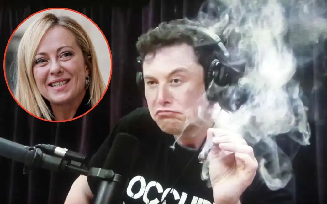 giorgia meloni elon musk 