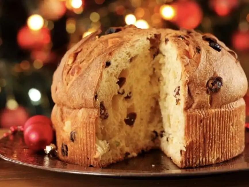 panettone