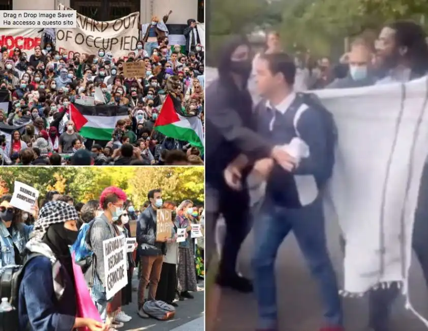 studente ebreo aggredito durante protesta pro palestina a harvard 1