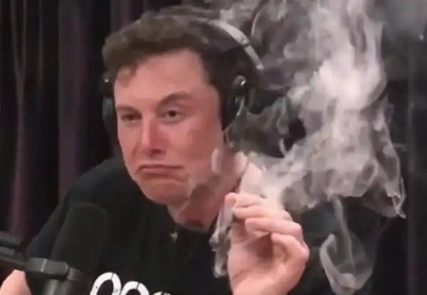 elon musk marijuana fumo