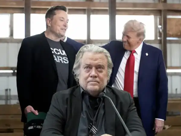 elon musk steve bannon donald trump